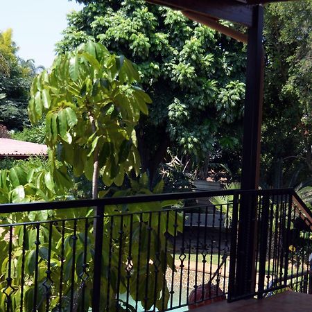 Glen Marion Guest House بريتوريا المظهر الخارجي الصورة